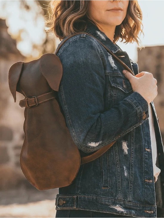 Stockyard Other - Stockyard Brown Full Grain Leather Dog Crossbody/Backpack